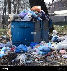Best Yard Waste Removal  in Galls, IN